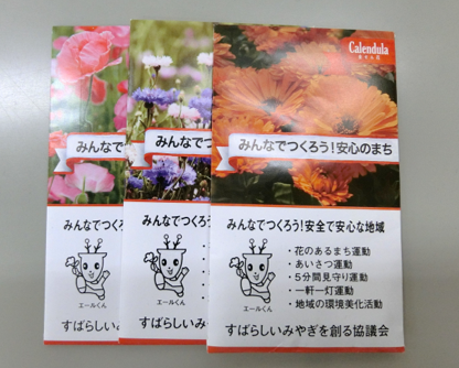 広報用花の種写真