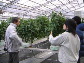 太陽熱蓄熱保温システムを設置の農園研の施設を説明する吉田技師