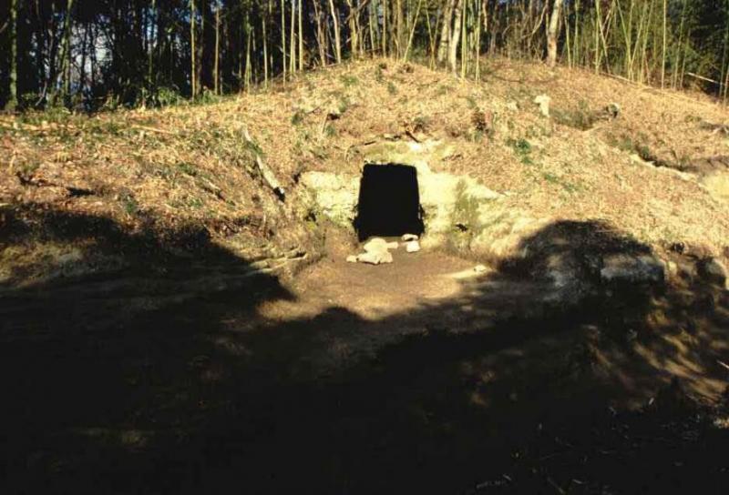 横穴墓の入り口