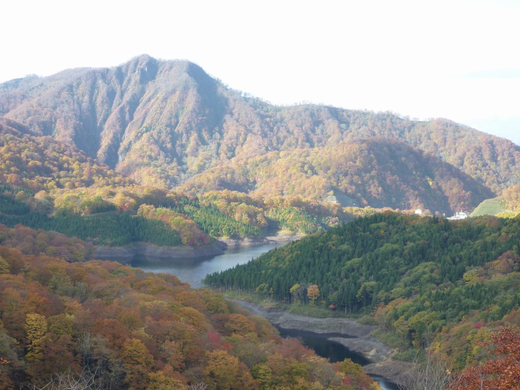 大崎地方のダム周辺の紅葉状況