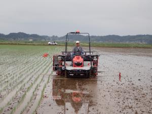 相澤氏による田植機の実演の画像