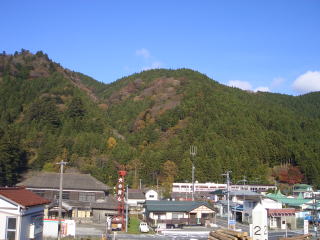 森林と住宅地