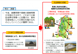 社会実装の概要