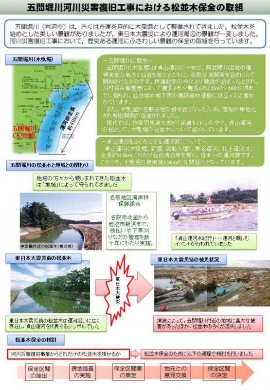 五間堀川河川災害復旧工事における松並木の保全についての取組図1