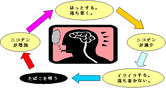 たばこを吸う→ニコチンが増加→ほっとする。落ち着く→ニコチンが減少→イライラする。落ち着かない。→たばこを吸う・・・・