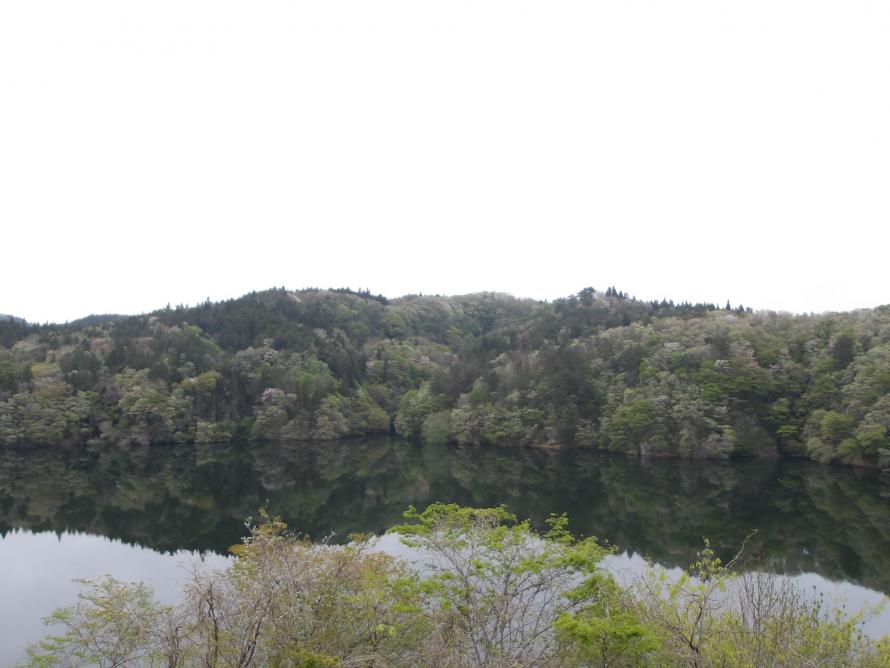 花山ダム定点写真