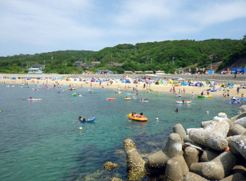 網地白浜海水浴場の写真