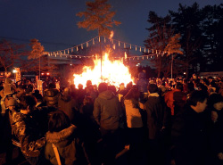 こごたどんと祭の写真