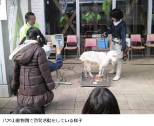 啓発活動イベントの様子