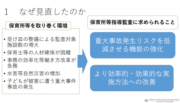 監査見直しについての図説