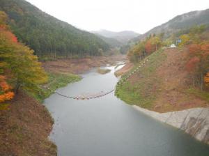 11月8日試験湛水状況2