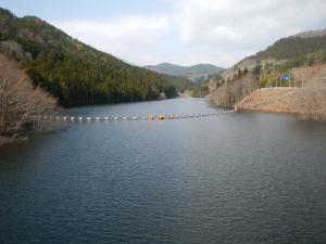 堤体からダム湖（4月4日）