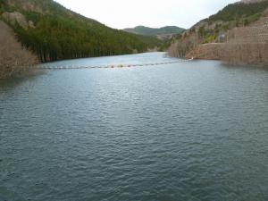 堤体からダム湖（4月7日）