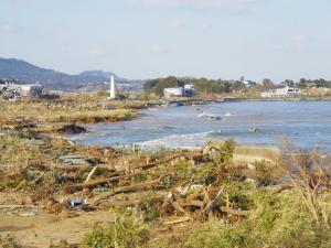 岩井崎における海岸防潮堤と海岸防災林の流出状況写真