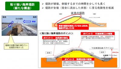 粘り強い海岸堤防の構造イメージ図