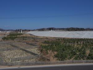 完成状況（岩井崎）