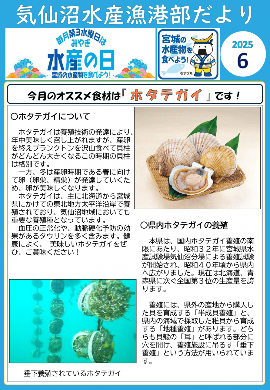 R7_6月号1