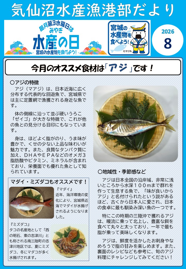 Trachurus-japonicus1