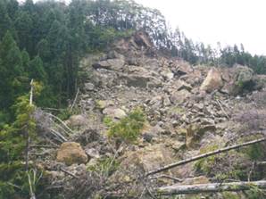 九度沢地区の山腹崩壊状況写真（山頂部付近から崩れた土石が道路に達している）
