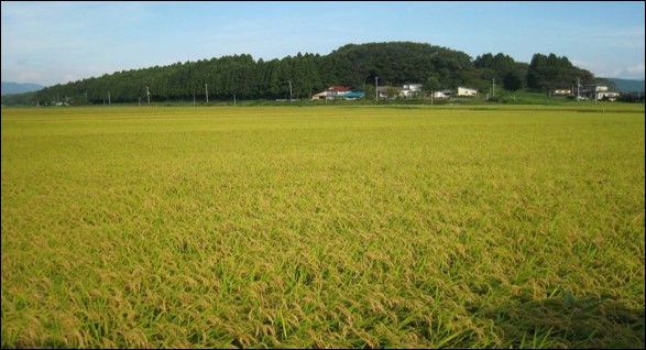 大の原と呼ばれる舌状台地