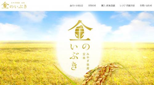金のいぶき」専用ホームページを開設しました。 - 宮城県公式ウェブサイト