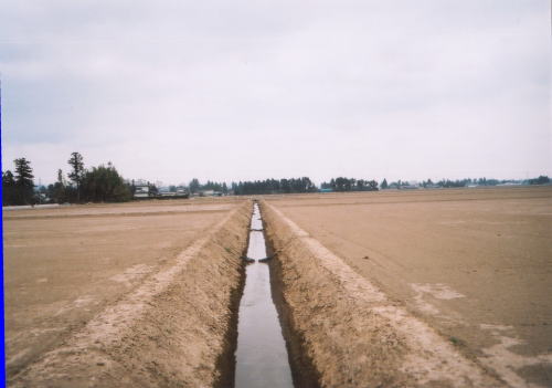排水路完成の写真
