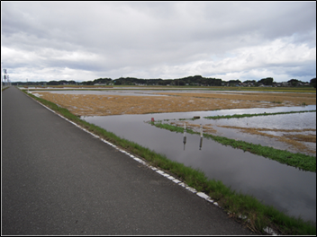 登米市浸水被害