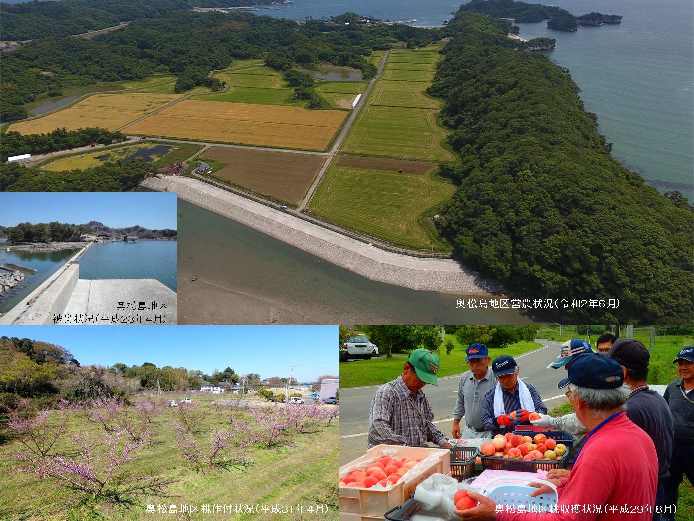 東松島市奥松島地区