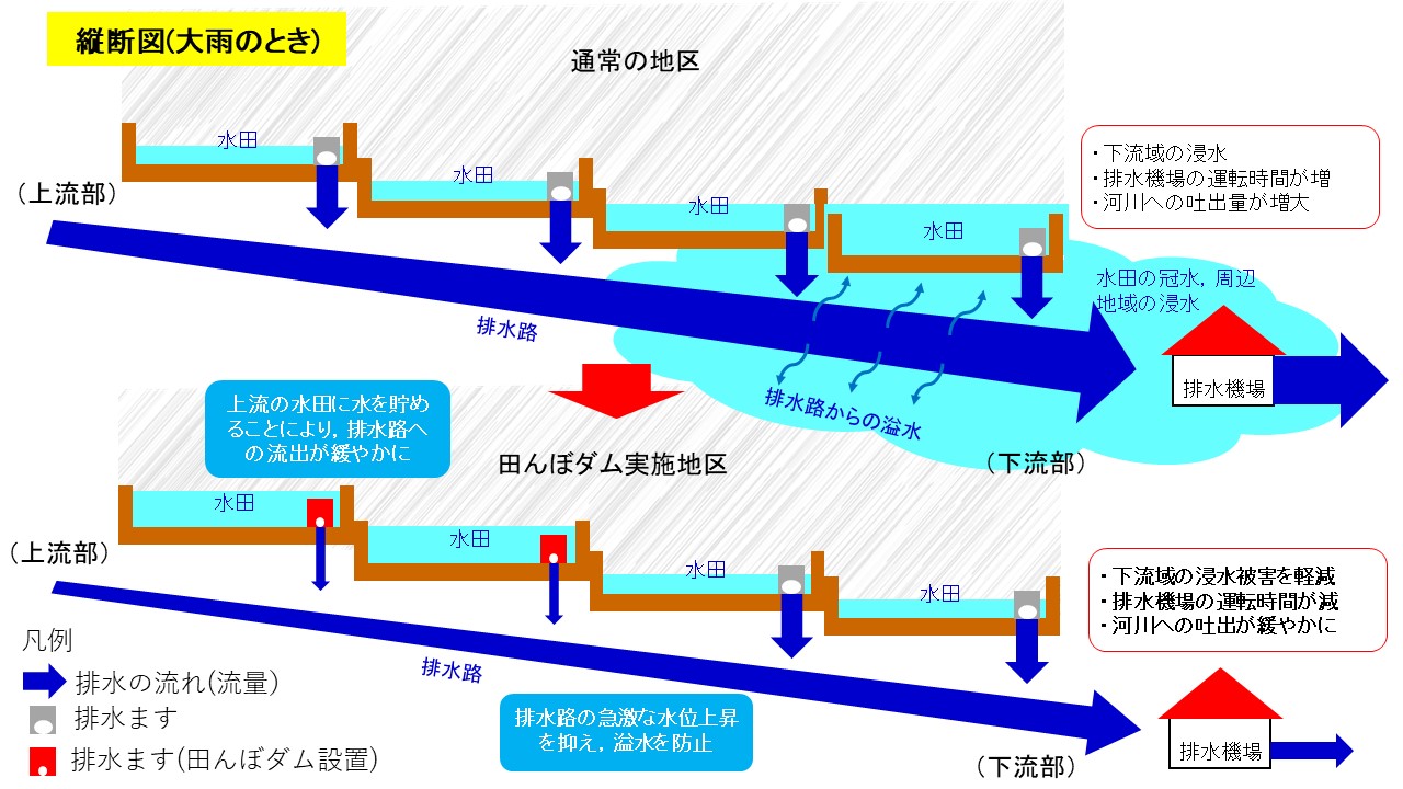 縦断図