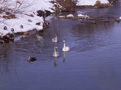 斎川_河川公園3