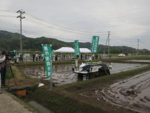 田植えの様子