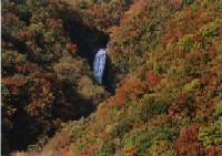 不動尊展望台から見た不動滝の写真です
