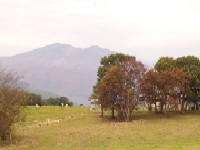 柏木山放牧場から見た不忘山の写真です