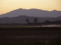 金山しんつつみから見た蔵王の写真です