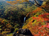 優秀賞「蔵王不動滝秋景」の写真