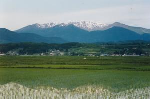 円田水田からみた蔵王連峰の写真です