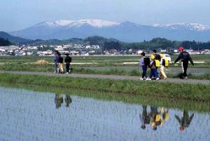 槻木水田地内の写真です