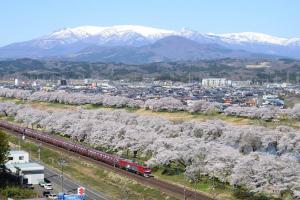 船岡城址公園の写真です