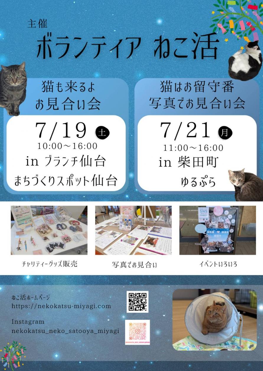 ボランティア ねこ活　保護猫譲渡会