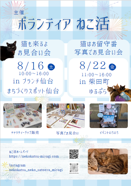 ボランティア ねこ活　保護猫譲渡会