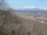 船岡城址公園