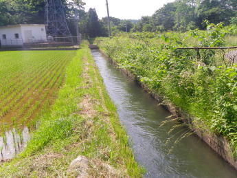 後田の古碑群付近を流れる船岡用水