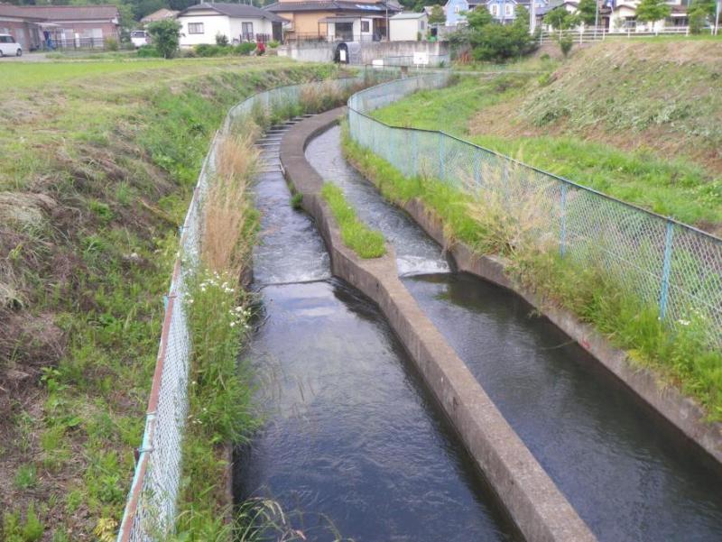 槻木新旧用水路