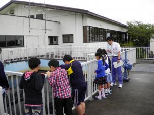 落合小学校の皆さんがろ過池説明を受けている写真です