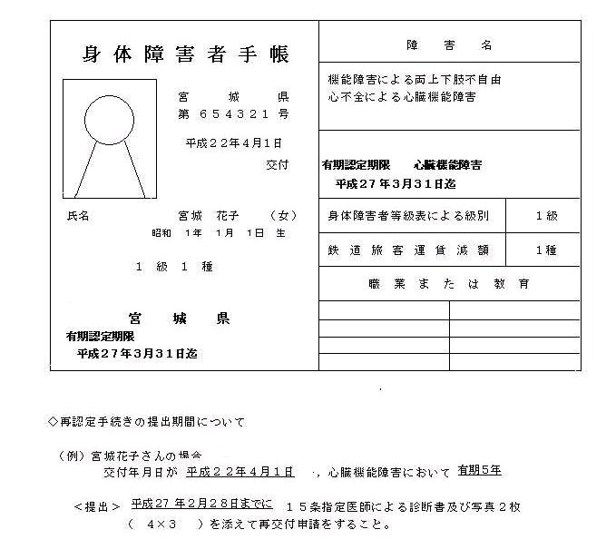 身体障害者手帳の記載例です