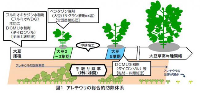 アレチウリの総合的防除体系の図