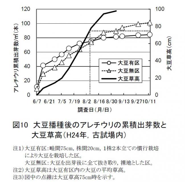 図10大豆播種後のアレチウリの累積出芽数と大豆草高