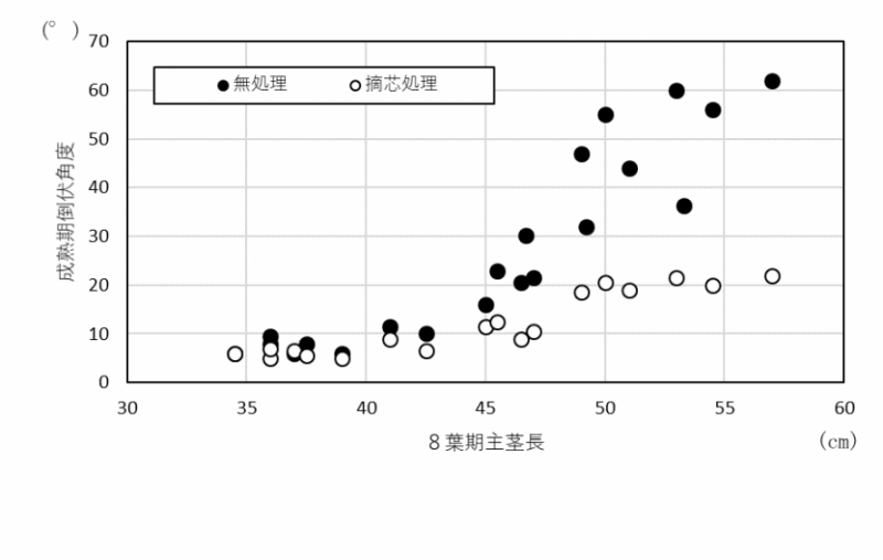 8葉期の主茎長と成熟期の倒伏角度