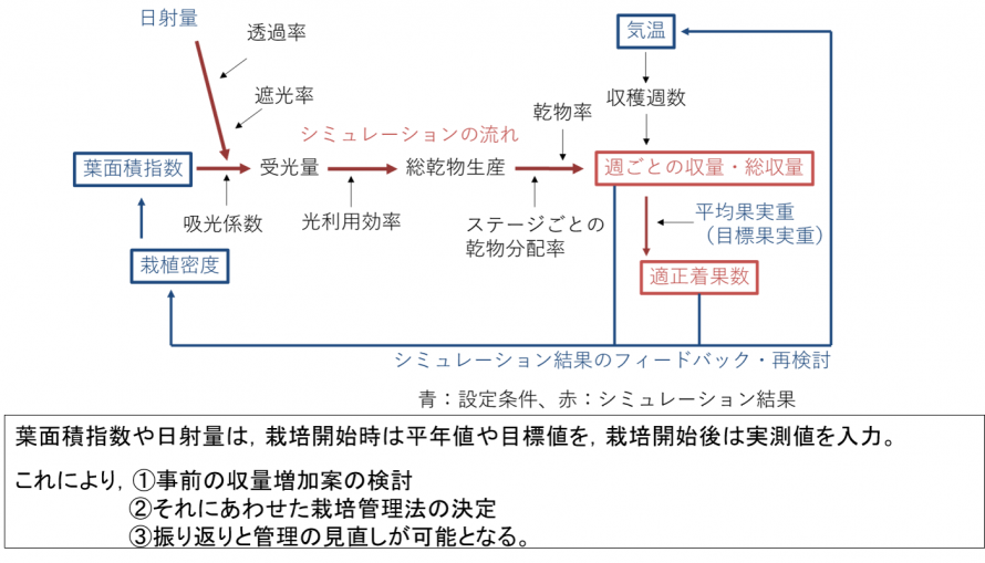 シミュレーションの流れの図