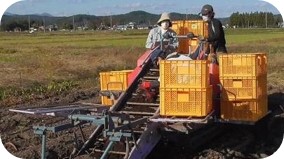 情報経営部2